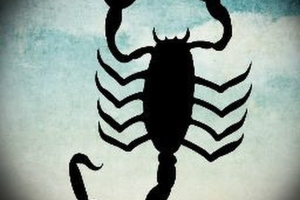 Kraken 20at net