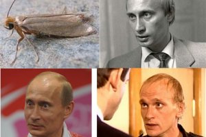 Ссылки для даркнета